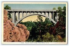 c1920's Beaver Creek Bridge Road Grove Black Hills South Dakota Vintage Postcard picture