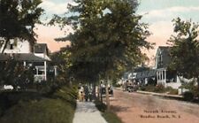 1908 Bradley Beach NJ Newark Ave Summer Homes NJ Shore Vintage Postcard Print picture