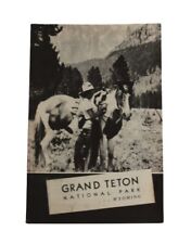 Vtg Grand Teton National Park Wyoming booklet 1940 Dept of Interior Ephemera picture