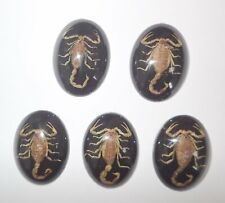 Insect Cabochon Golden Scorpion Oval 30x40 mm on Black bottom 10 pieces Lot picture