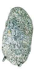 Extremely RARE and BEAUTIFUL MESOSIDERITE METEORITE NWA 15015 80.2 Grams picture
