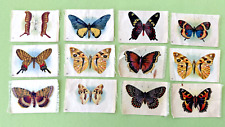 12 ANTIQUE TOBACCO CIGARETTE SILKS - BUTTERFLY AND MOTH SERIES B647 picture