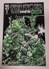 TMNT: Black, White, and Green #1 05/08/2024 NM-/VF+ COVER B IDW PUBLISHING  picture