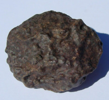 NWA 4528 H5 Meteorite as found individual 11.63 grams + COA picture