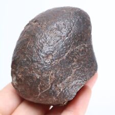 331g NWA Chondrite Meteorite  R960 picture