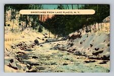 Lake Placid NY-New York, Scenic Greetings, Winter Time, Vintage Postcard picture