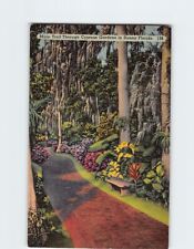 Postcard Entrance Path at Cypress Gardens Florida USA picture