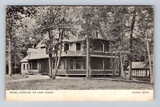 Osakis MN-Minnesota, Hotel Linwood On Lake Osakis, Antique, Vintage Postcard picture