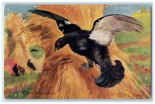 c1910's Black Game Scene Field Oilette Tuck's Unposted Antique Postcard picture