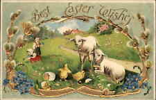 Easter Lambs Watch Chicks Hatch Spring c1910 Vintage Postcard picture