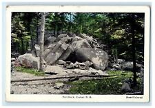 c1910s Forest View, Fort Rock Exeter New Hampshire NH Unposted Postcard picture
