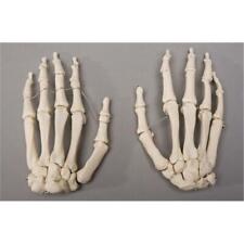 Skeletons and More SM376D Skeleton Hands Left and Right picture
