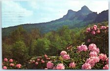 Postcard - Grandfather Mountain - Linville, North Carolina picture