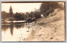 A Riverbank Watering Hole For Horses and Cattle RPPC Real Photo Postcard Stamped picture