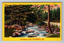 Lucinda PA-Pennsylvania, Scenic Greetings, River & Flowers Road Vintage Postcard picture