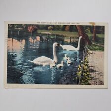 Scenic Winona Lake Swan Family Lily Pond Linen Indiana C1941 Vintage Postcard picture