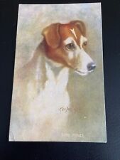 Antique postcard Dog Fox Terrier Kenyon drawn portrait circa 1909 brown white picture