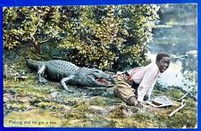 1909 African American Getting Bit Alligator Fishing. Postcard Great Condition picture