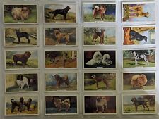 1936 Gallaher Ltd. Cigarettes Dogs 2nd Series Of 48 Cards Complete picture