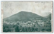 1907 Bird's Eye View Showing Mountain East Branch New York NY Antique Postcard picture