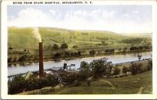 Binghamton  NY New York River From State Hospital White Border  Vintage Postcard picture