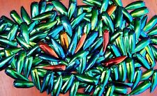 100 g. Wholesale Lots Iridescent Green Blue Yellowish Jewel Beetle Elytra Wings picture