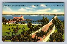 Bradenton FL-Florida, Stately Royal Palms, Antique, Vintage c1961 Postcard picture