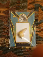 PTERODACTYL 2023 PIECES OF THE PAST TOOTH FOSSIL RARE RELIC CARD DINOSAUR picture