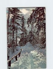 Postcard Winter Scene Greetings from Walton New York USA picture