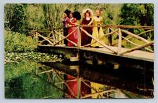 Postcard Bridge to Indian Village Knott's Berry Farm Ghost town California picture