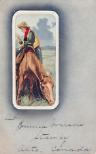 STAVELY ALBERTA CANADA~COWBOY OR COWGIRL ON HORSE POSTCARD picture