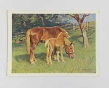 Hermann Gemeinhardt Auf der Weide Postcard German Art In the Pasture Mare & Foal picture