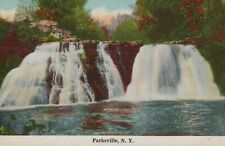 Parksville New York Waterfalls Nature Posted Vintage Divided Back Post Card picture