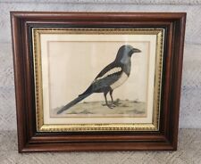 Antique Eastlake Victorian Deep Picture Frame Gold Gilt Bird Print Engraving picture