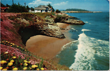 Postcard Scenic Ocean View West Cliff Drive Santa Cruz California picture
