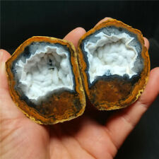 Rare 164G China Natural Inner Mongolia Gobi Eye Agate Geode Collection  WYY2304 picture