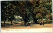 Postcard - The Willows at Salem Willows, Salem, Massachusetts picture