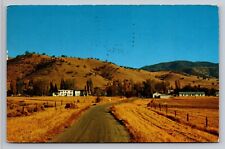 Rural View Of Tehachapi California Vintage Postcard Posted 1956 State Prison picture