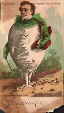 VICTORIAN TRADE CARD  BORAXINE  VEGETABLE MAN  1885  BUFFALO NY  SARKIN & CO. picture