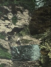 c1910s Black Pool Lagro Indiana Postcard Unposted Tinted picture