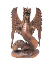 Flying Dragon With One Head and Wings 16