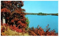 PICTURESQUE LAKE VIEW.VTG UNUSED POSTCARD*A3 picture