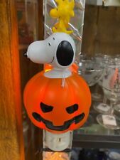 Roman Lights Inc- Halloween Peanuts Snoopy in Jack-O-Lantern Pumpkin Night Light picture