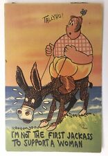 c1940's Fat Woman Riding Mule I'm Not The First Jackass Suffrage Postcard picture