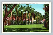 Pasadena CA-California, Statuary Between Tall Palms, Scenic, Vintage Postcard picture