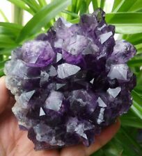 F2437 Natural Beautiful Amethyst / Purple Quartz Crystal Cluster specimen 545g   picture