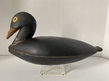 Vint.  American Scoter Duck Decoy, Glass Eyes, Notched Tail, Hollow, Seamed Body picture