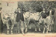 c1910 Postcard; Pyrenees France Basque Men & their Cattle, Home from the Fair picture