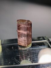 Green/Blue Cap baby Pink Terminated Tourmaline Laghman, Afghanistan 2020 Prod. picture