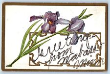 Wabasso Minnesota MN Postcard Greetings Glitter Flowers Embossed 1910 Unposted picture
